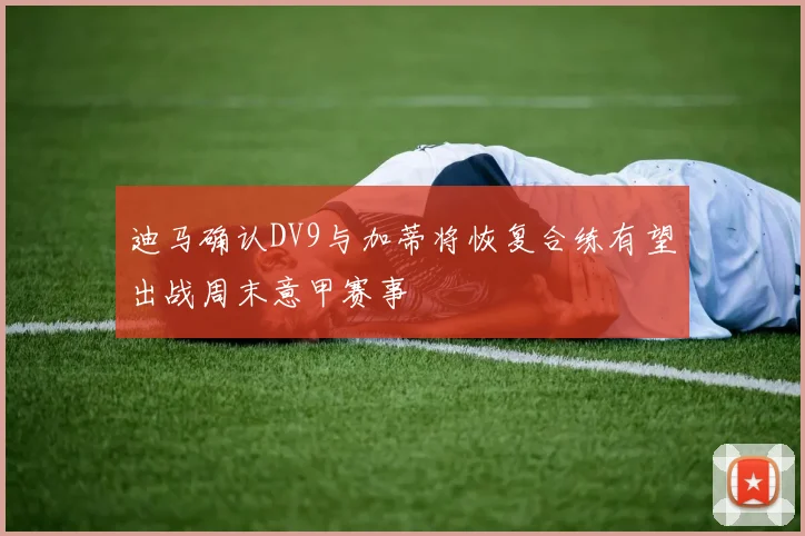 迪马确认DV9与加蒂将恢复合练有望出战周末意甲赛事
