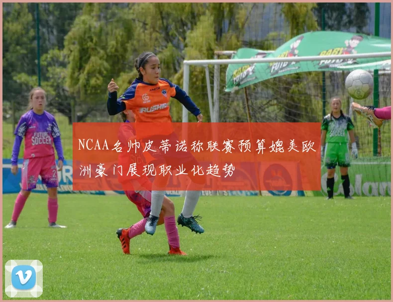 NCAA名帅皮蒂诺称联赛预算媲美欧洲豪门展现职业化趋势