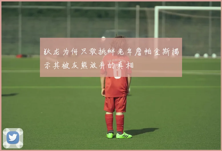 狄龙为何只敢挑衅老年詹帕金斯揭示其被灰熊放弃的真相